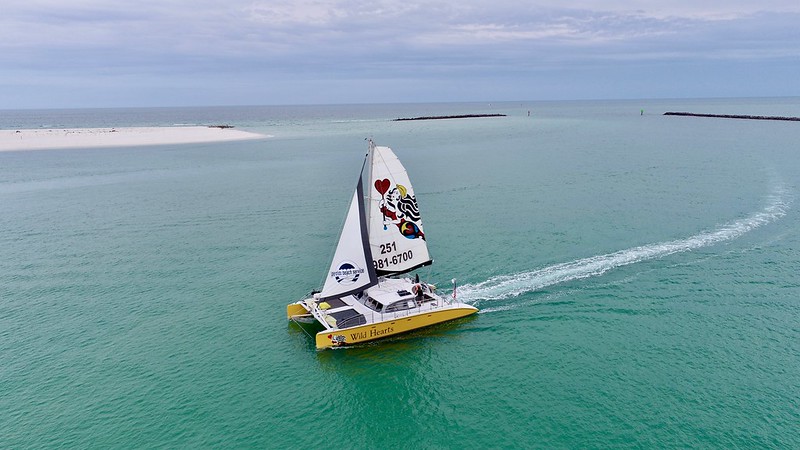 Things To Do Sail Wild Hearts